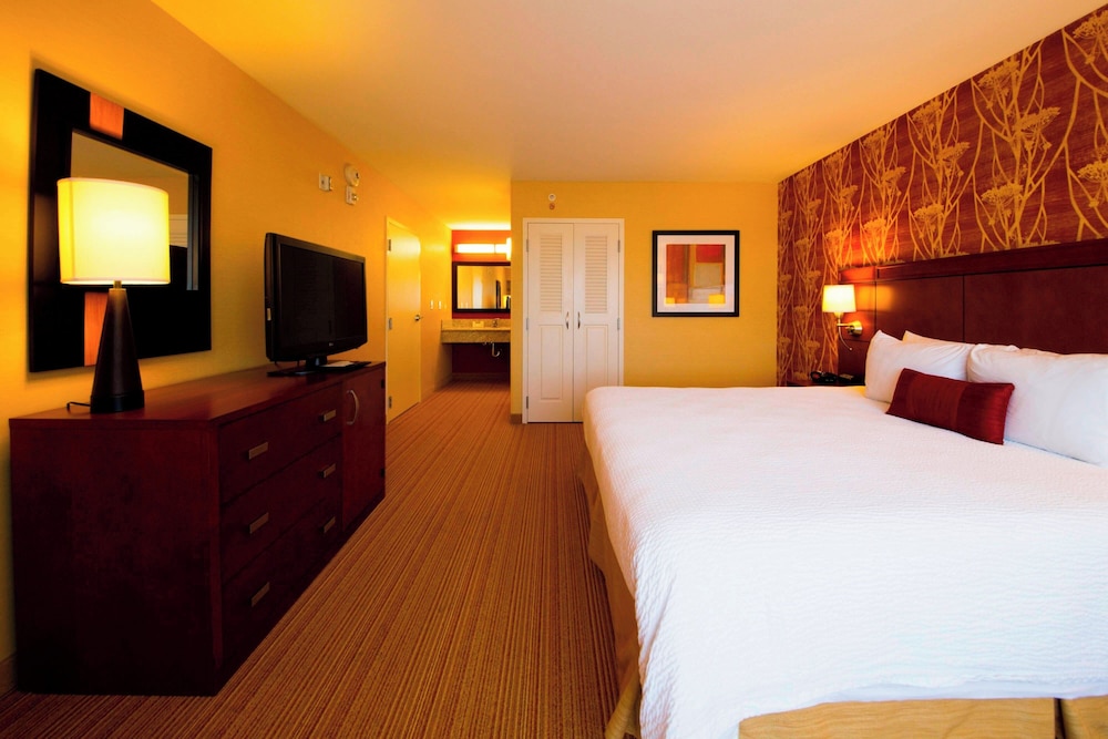 Suite, 1 Bedroom - Photo 5