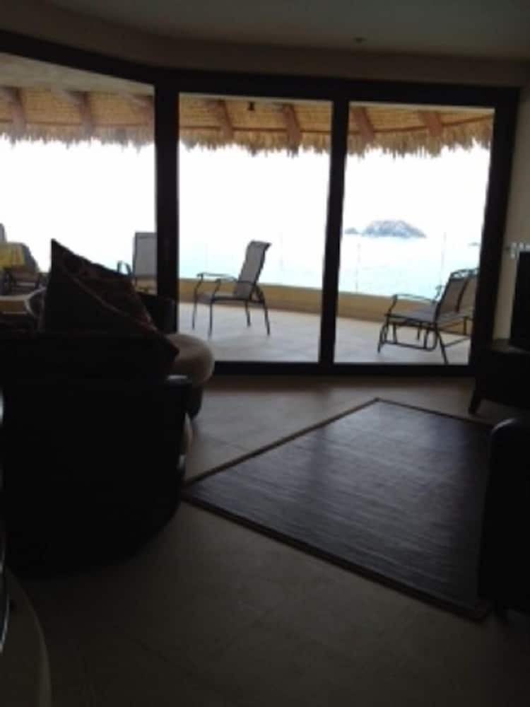 Palmetto 408 photo 3