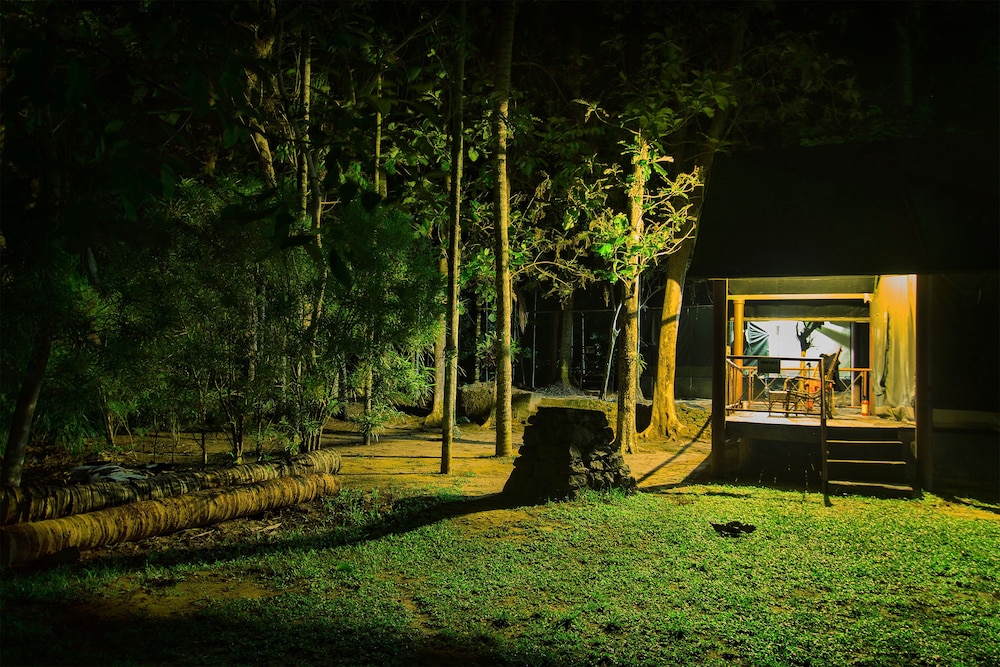 Jungle View Tent photo 3