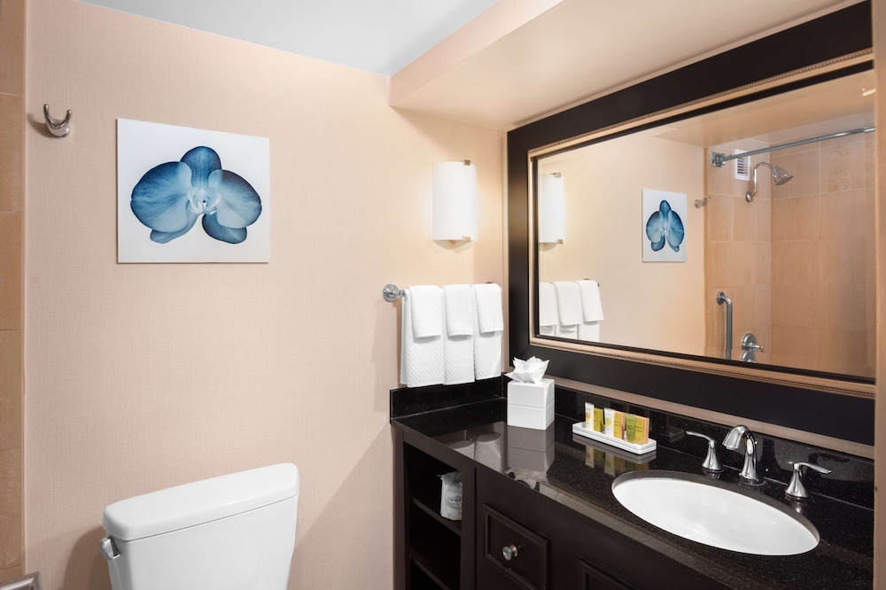 Standard Room, 1 King Or 2 Queen Beds
