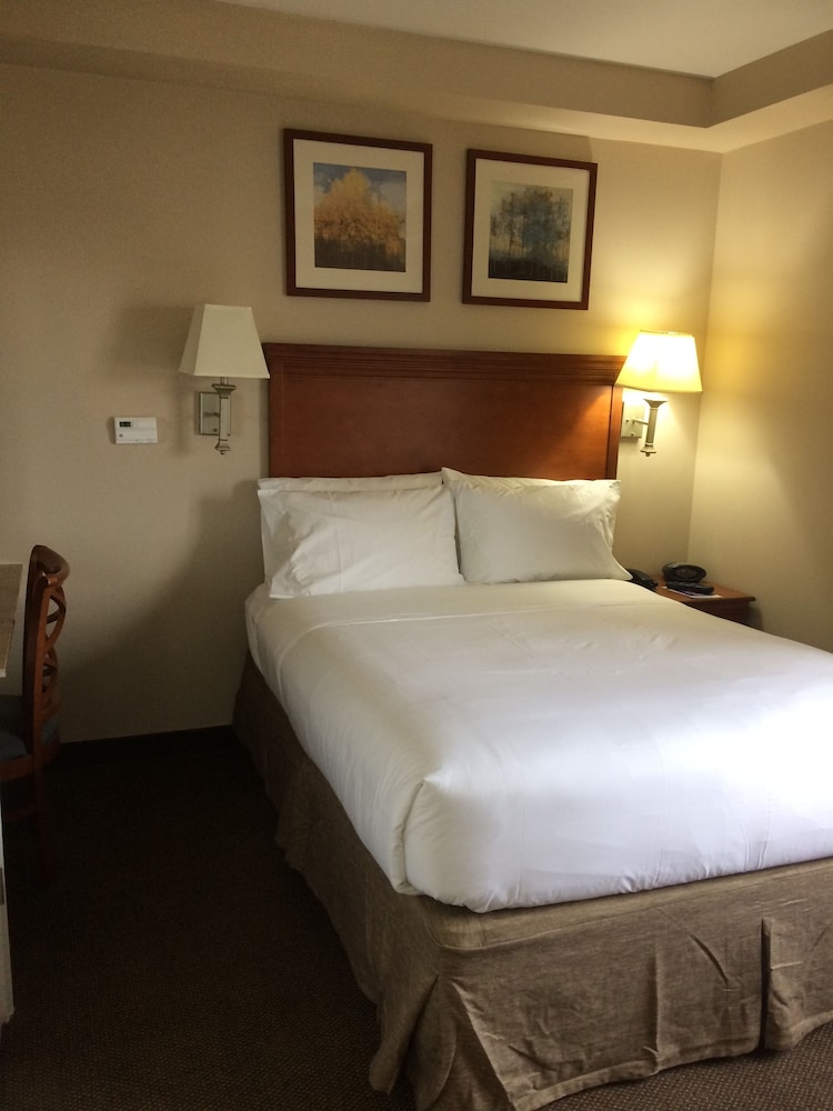 Suite, 1 Bedroom, Kitchen (Living and Dining Areas) photo 2