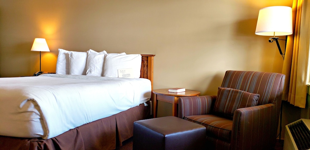 Berlin Heritage Inn, Foto 9