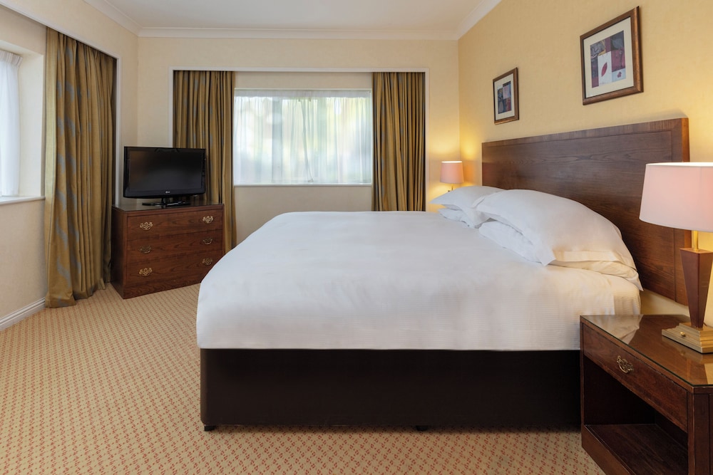 Suite - Photo 1