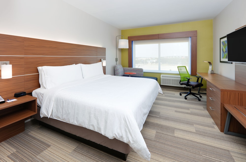 Suite, 1 King Bed photo 3