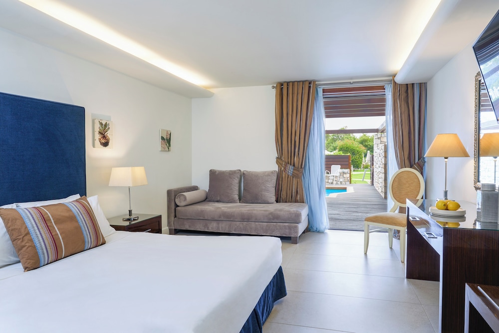 Premier Room, Private Pool - Photo 1
