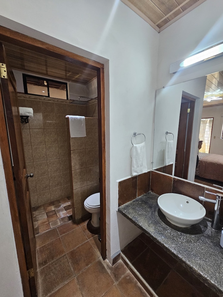 Comfort Double Room, City View photo 3