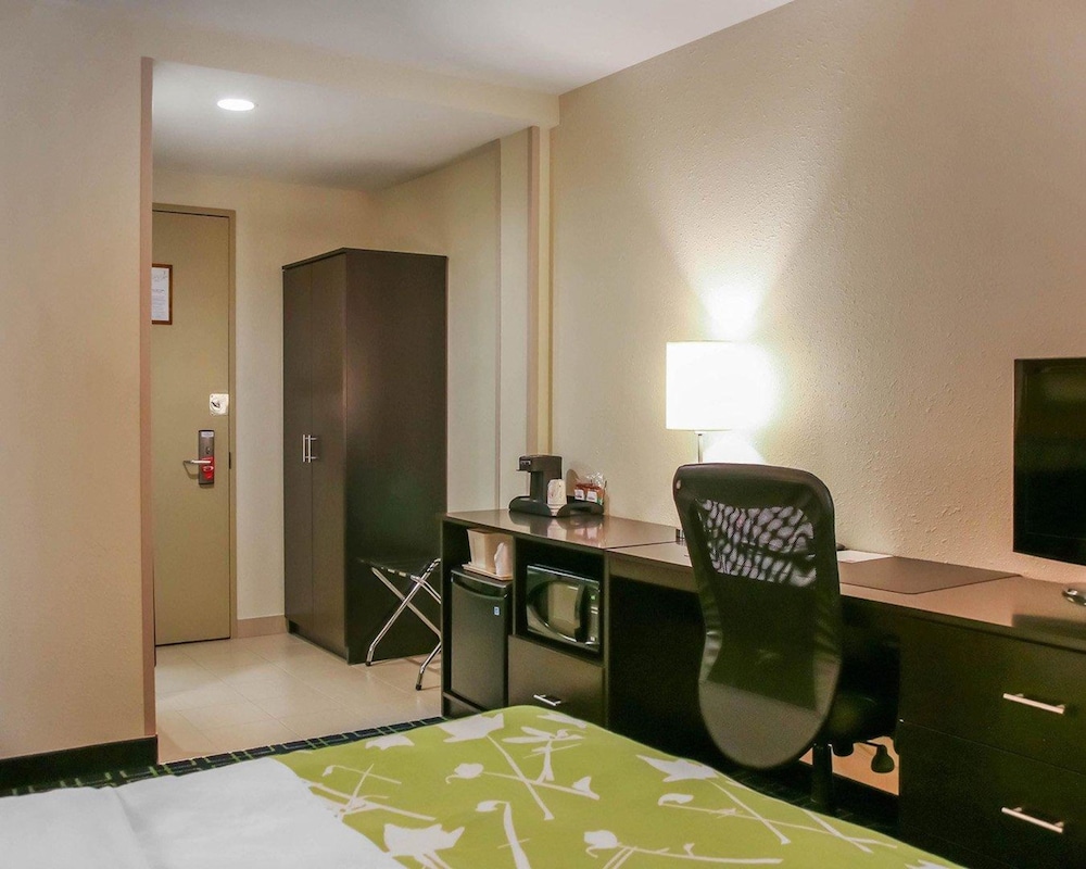 Standard Room, 1 King Bed with Sofa bed, Non Smoking (1 Person Sofa Bed)