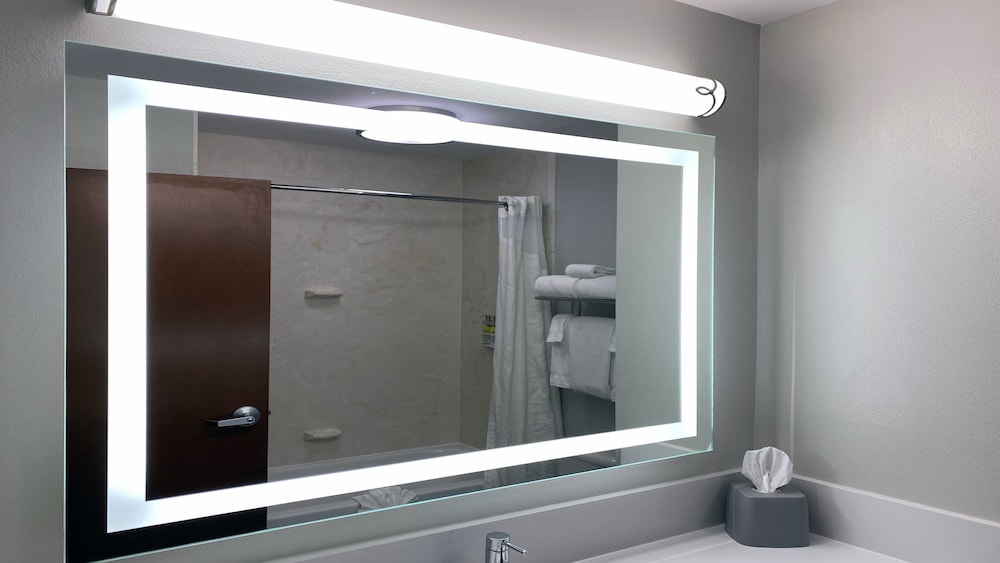 Standard Room, 1 King Bed, Accessible (Communications, Roll-In Shower) - Photo 7