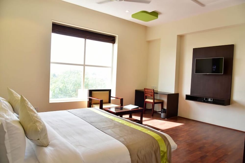 Executive Room - Photo 8