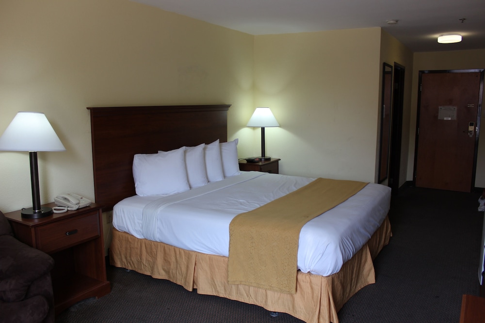 Standard Room, 1 King Bed, Non Smoking - Photo 7