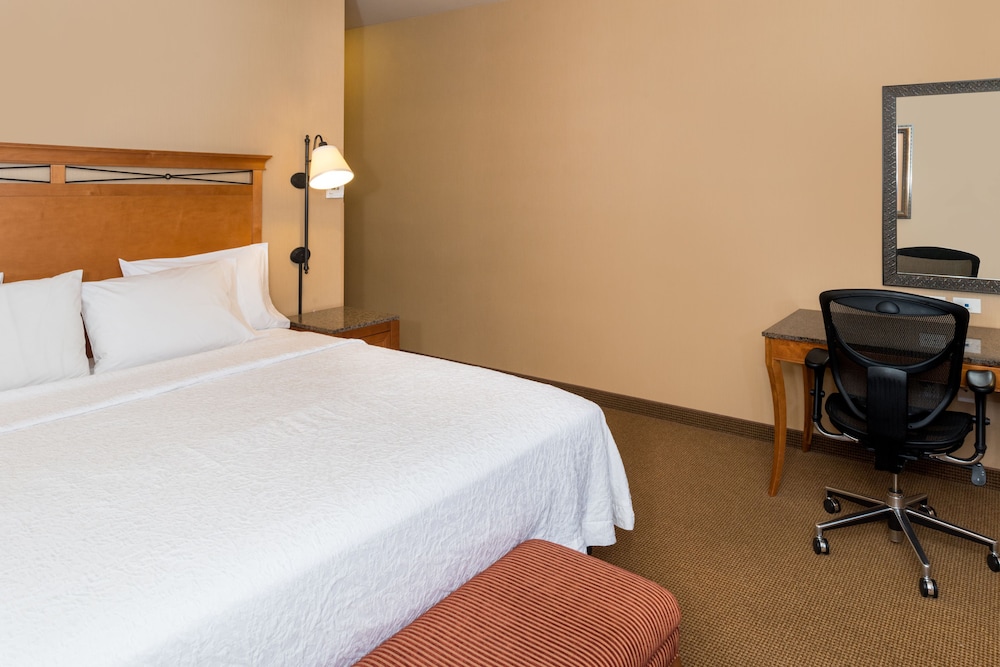 One King Bed, Non-Smoking, Accessible photo 2