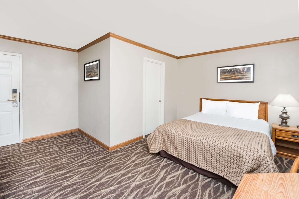 Room, 1 Queen Bed