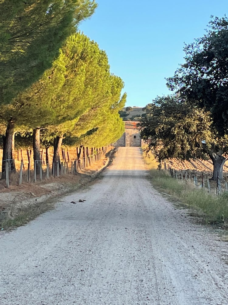 Casa Rural La Centenaria de Alaraz, Billede 15