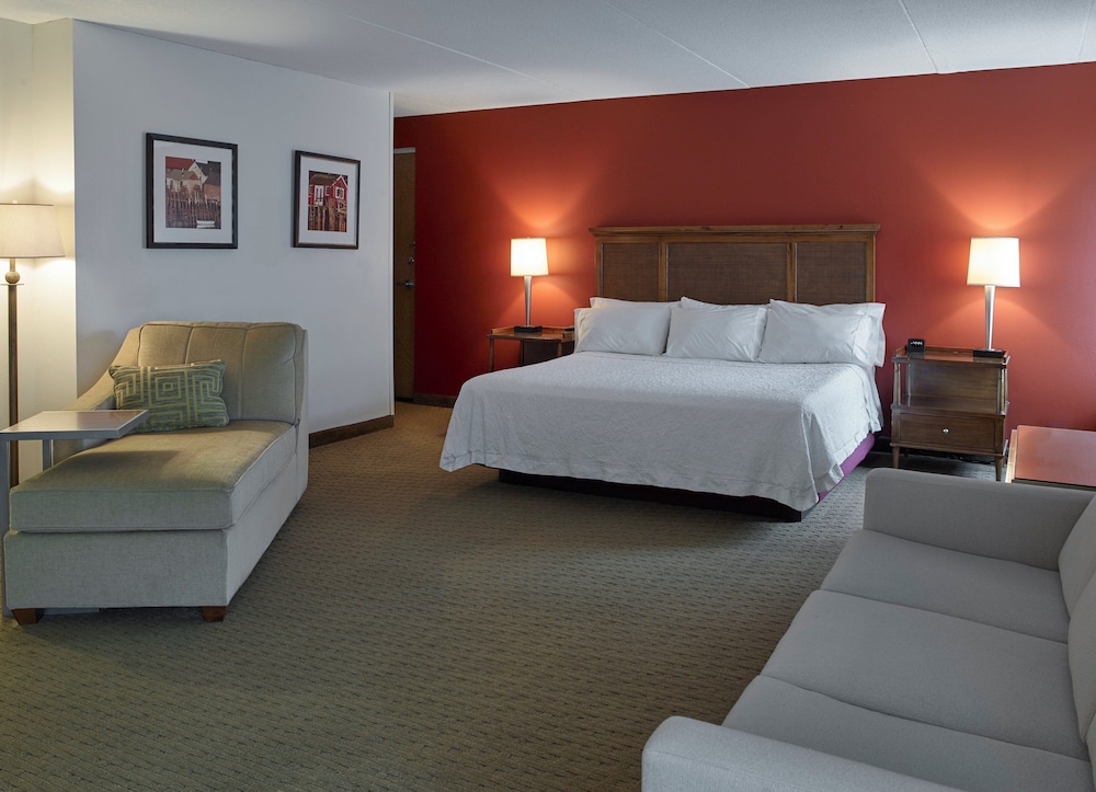 Suite, 1 King Bed, Accessible Bathtub (Mobility) photo 1
