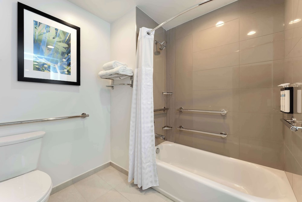Studio Suite, 1 King Bed with Sofa bed, Accessible, Bathtub