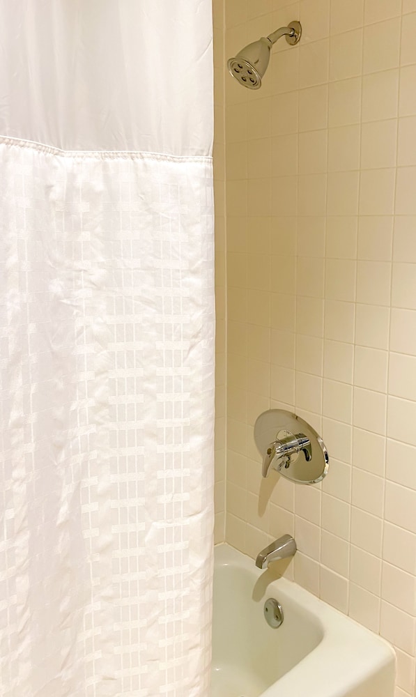 Suite, 1 King Bed, Lakeside (2nd Floor) - Photo 4