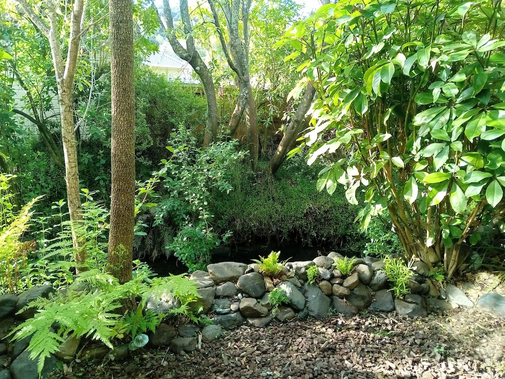 Garden View Queen Studio - Ground Floor photo 3
