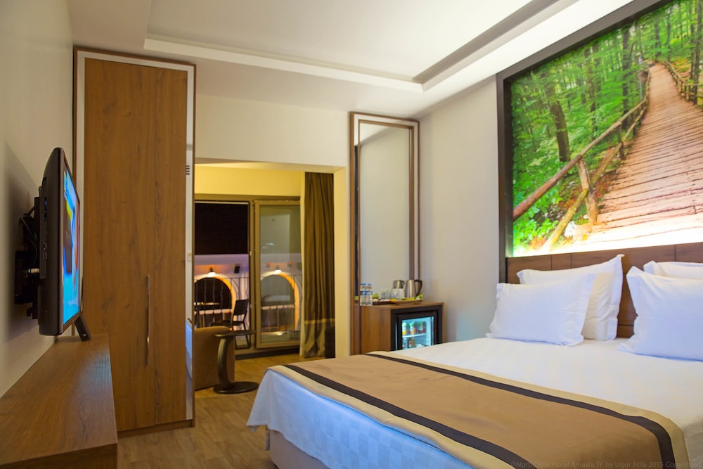 Deluxe Room photo 2