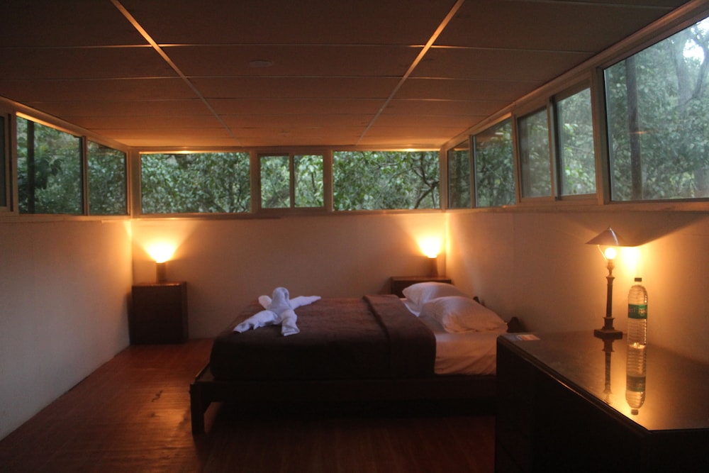 Standard Room, 1 Queen Bed, Non Smoking, River View