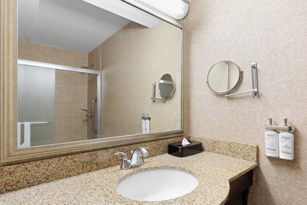 Suite, 1 Bedroom - Photo 2