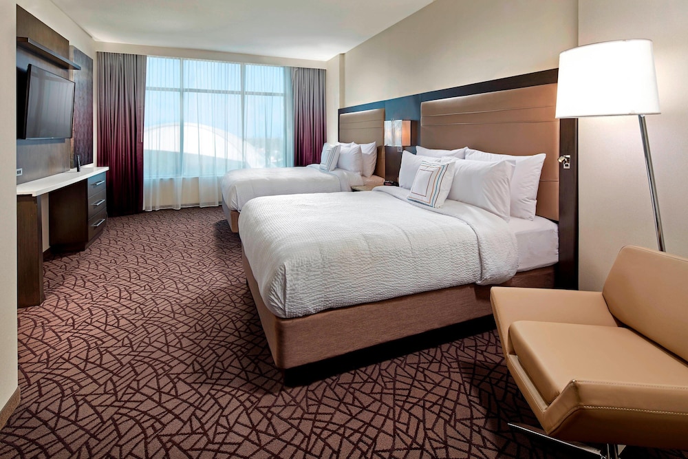 Executive Suite, 2 Bedrooms photo 3