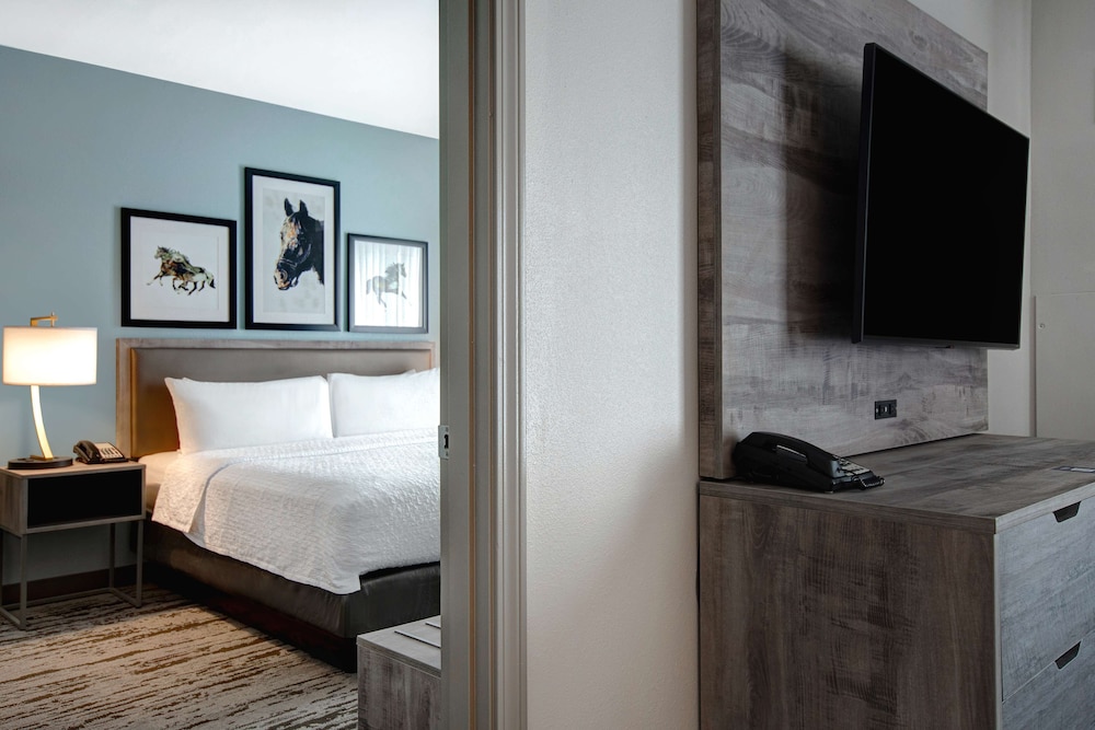 Suite, 1 King Bed with Sofa bed - Photo 6