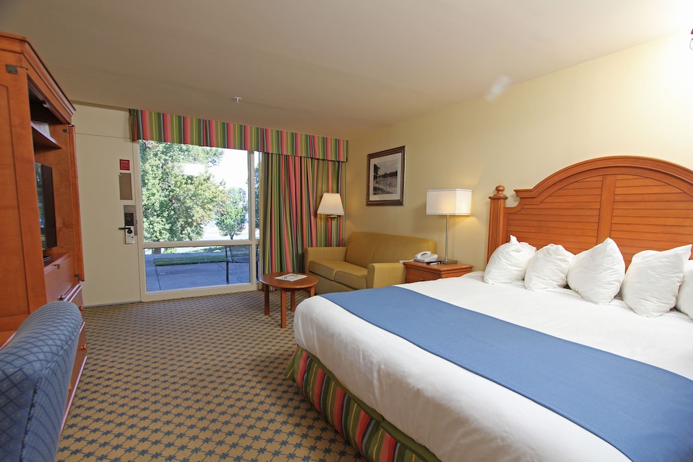 Standard Room, 1 King Bed with Sofa bed