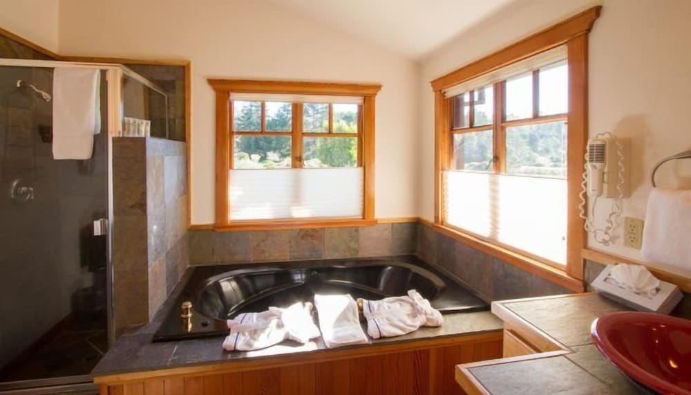 Luxury Suite, 1 King Bed photo 2
