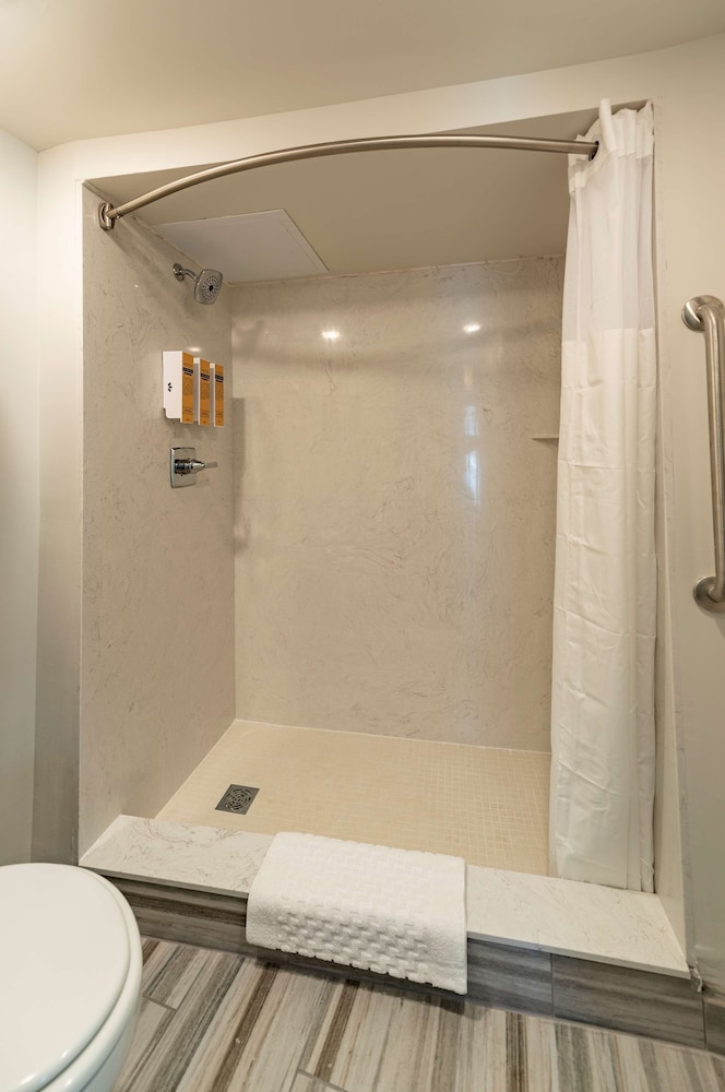 Standard Room, 1 King Bed, Non Smoking (Walk-in Shower;with Sofabed) - Photo 4