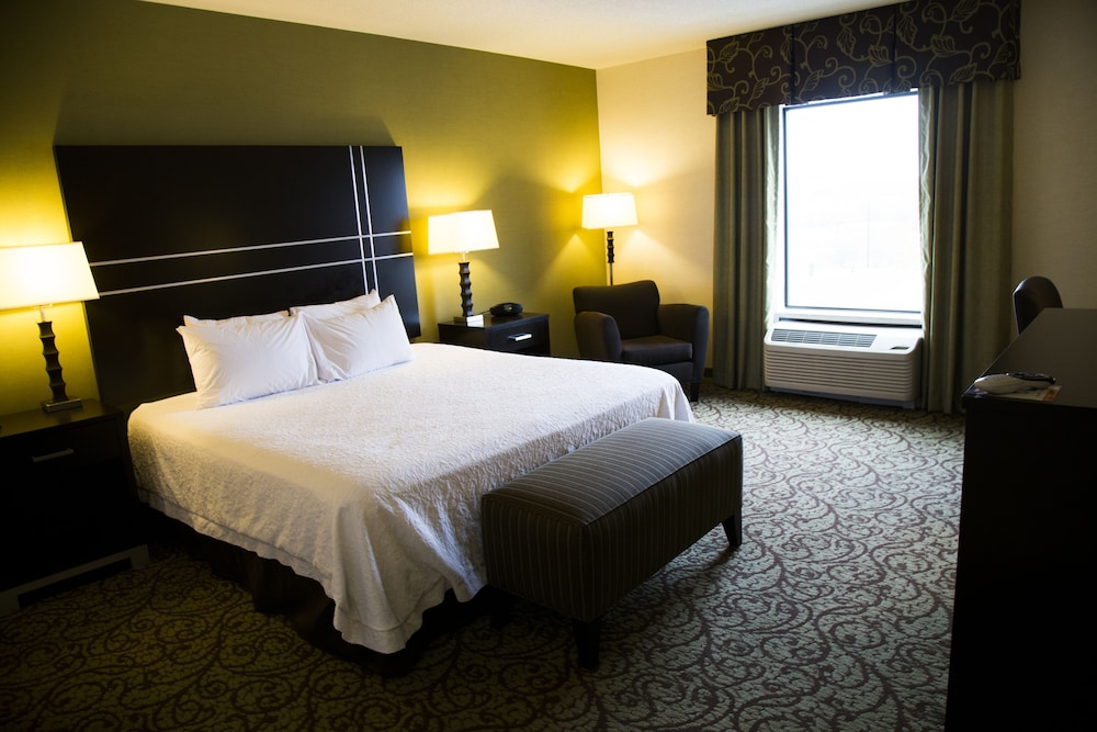 Room, 1 King Bed, Accessible, Non Smoking - Photo 4