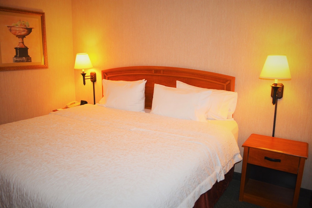 Deluxe Room, 1 King Bed, Non Smoking - Photo 8