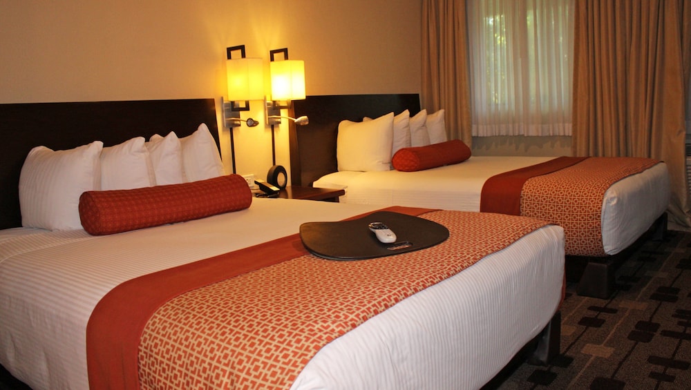 Suite, Non Smoking, Kitchen (3 Queen Beds) - Photo 1