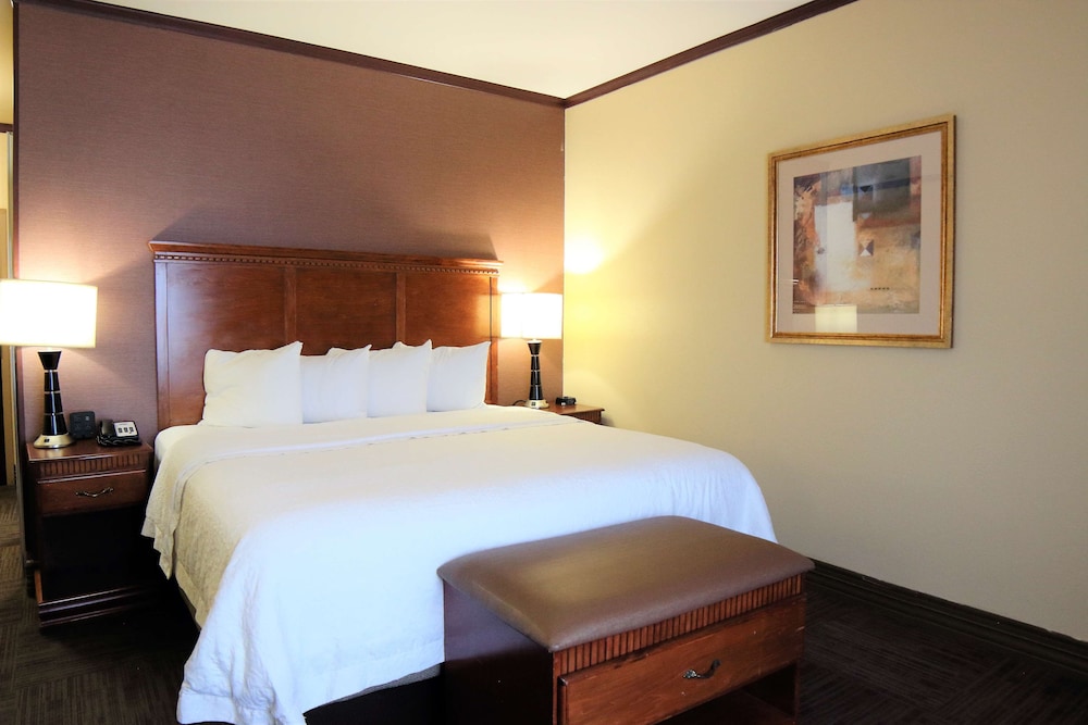 Room, 1 King Bed, Accessible - Photo 4