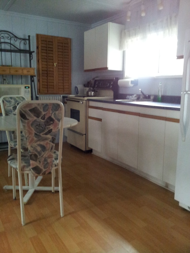 Cabin, 1 Bedroom, Kitchenette, Lake View photo 3