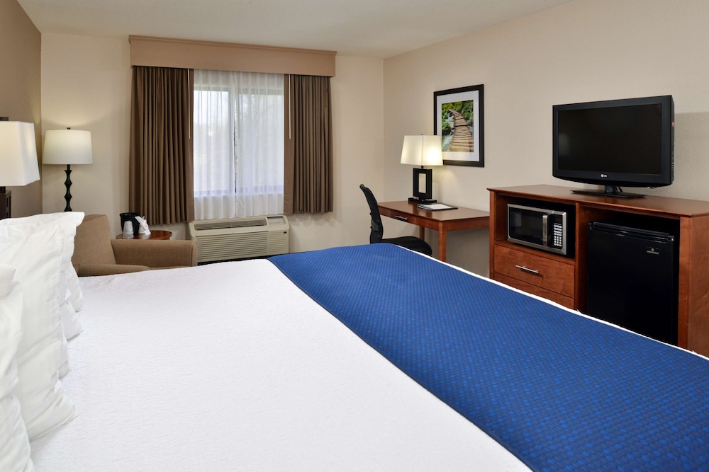 Standard Room, 1 King Bed, Non Smoking, Refrigerator & Microwave - Photo 2