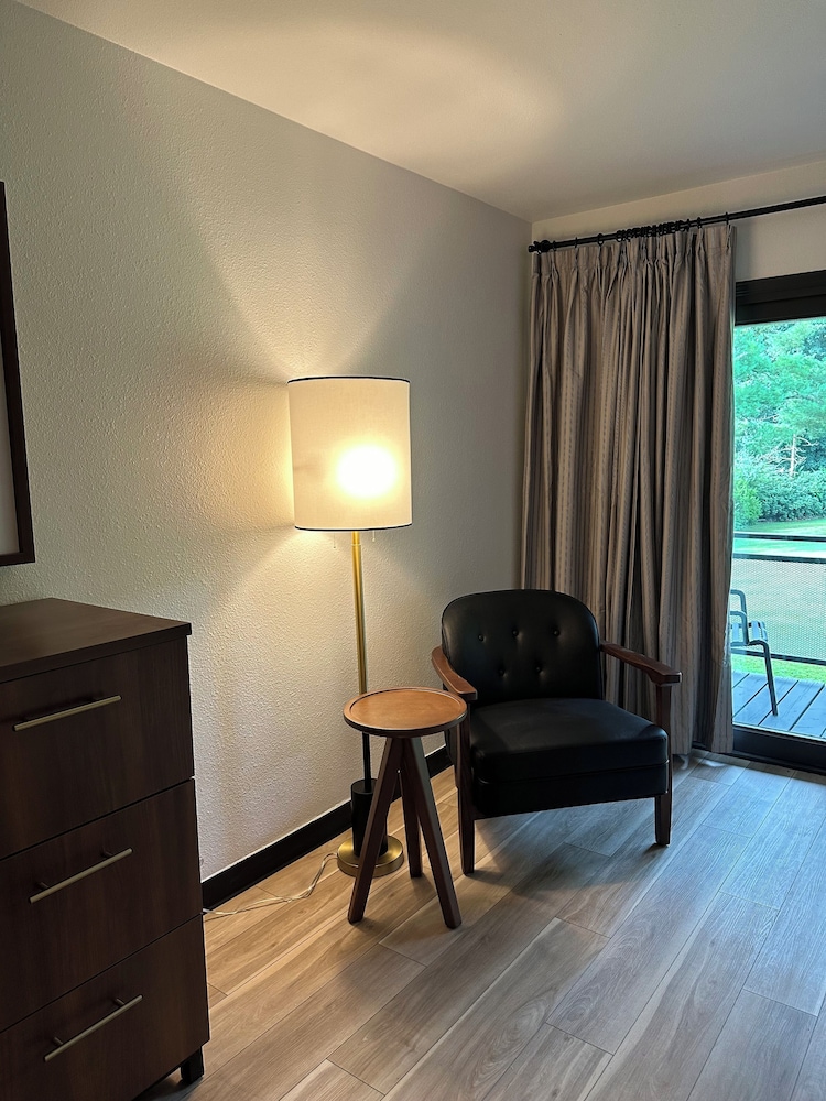 Premier Room 2 Double Beds photo 3