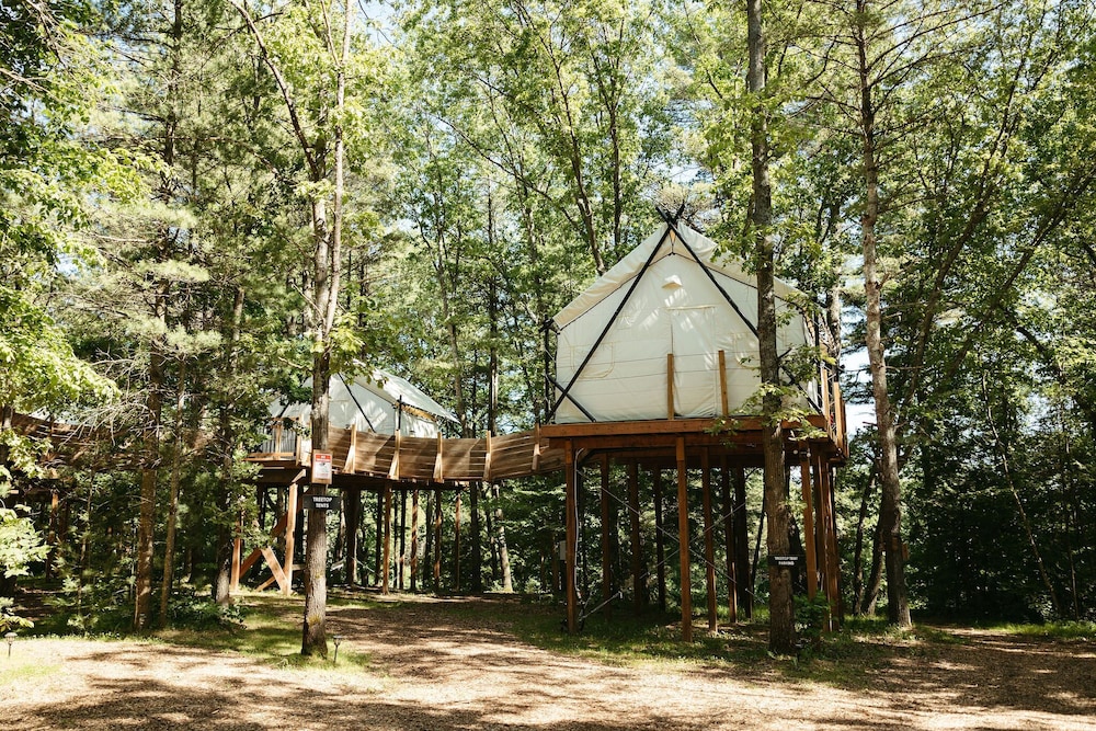 Tree House photo 2