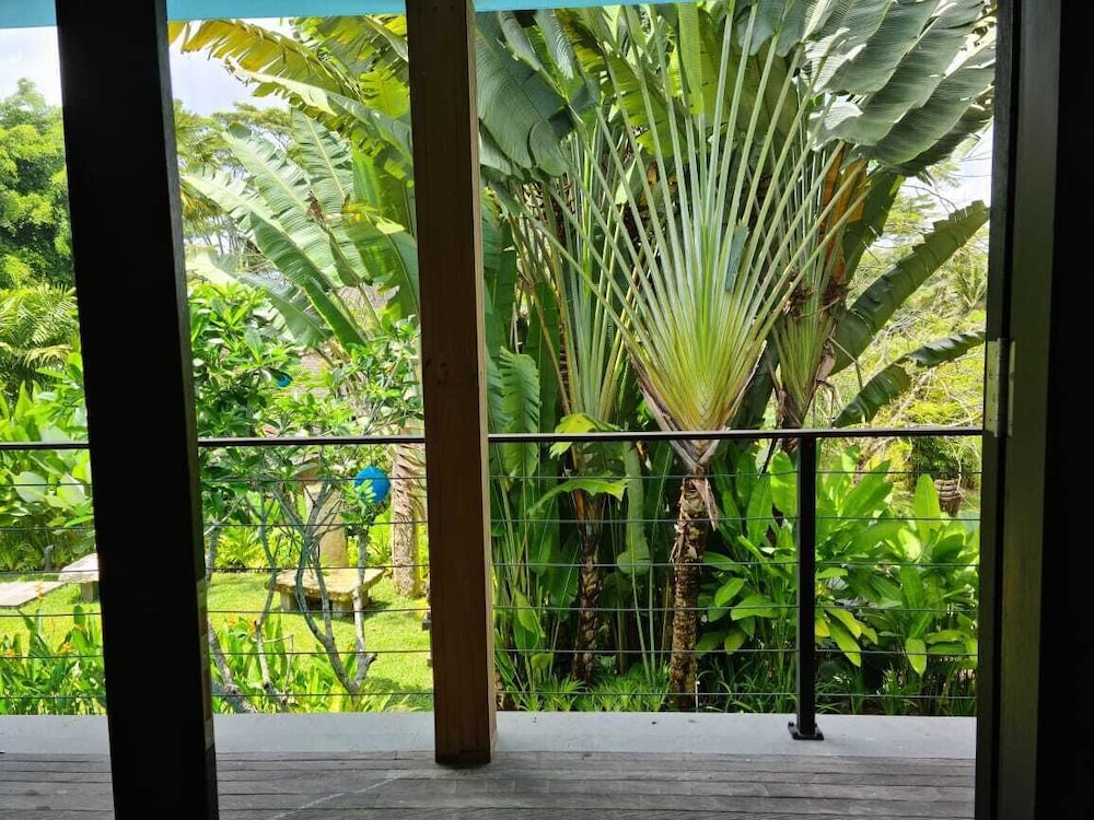 Deluxe Terrace Room - Photo 7