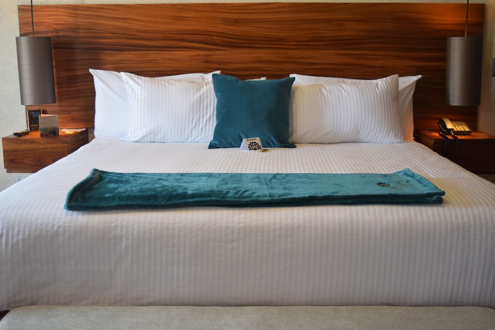Business Suite, 1 King Bed, Non Smoking photo 3