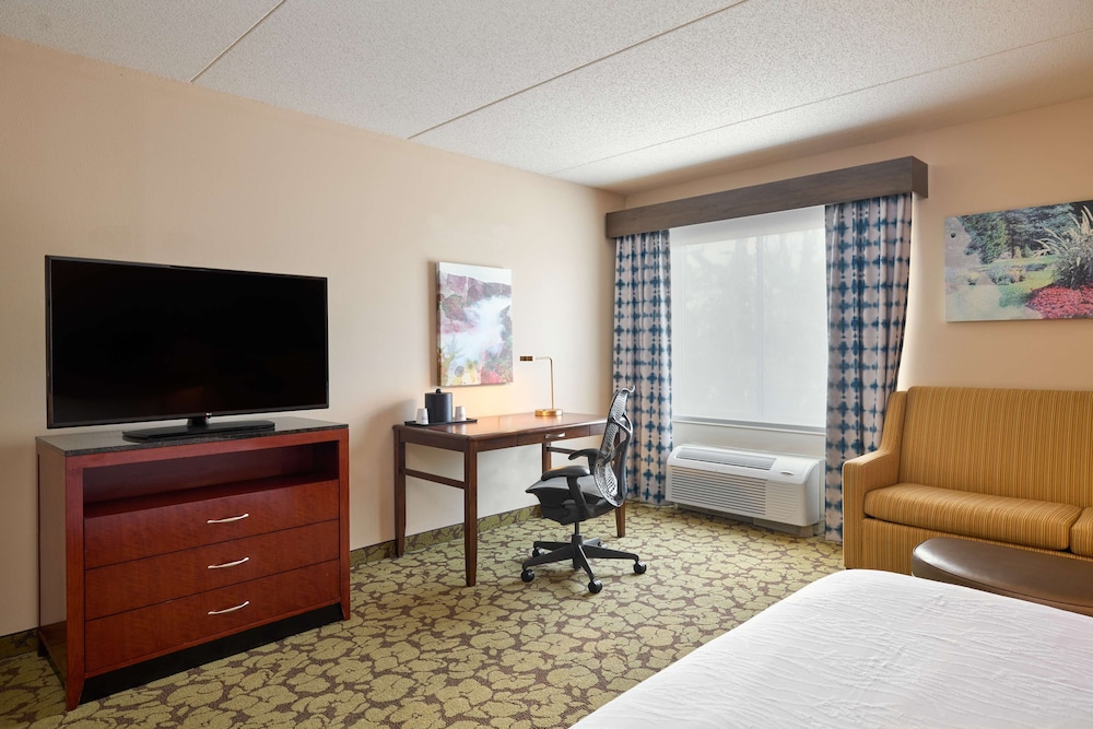 Room, 1 King Bed, Accessible - Photo 1