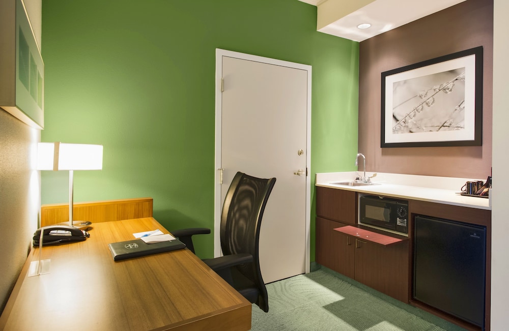 Suite, 1 King Bed - Photo 4