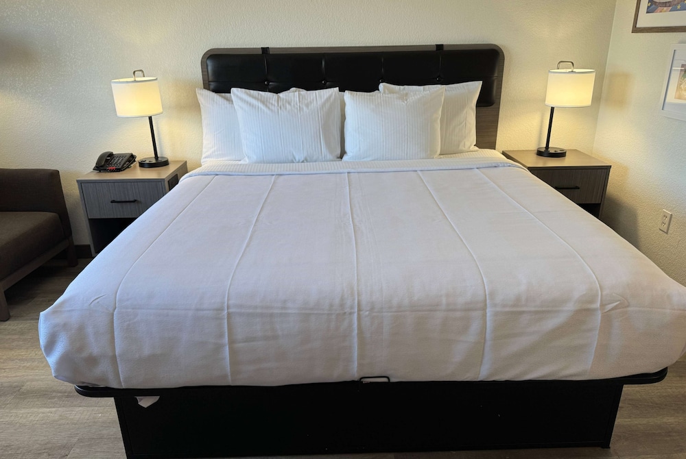 Room, 1 King Bed, Mobility Accessible, Non Smoking (Roll-In Shower) - Photo 3