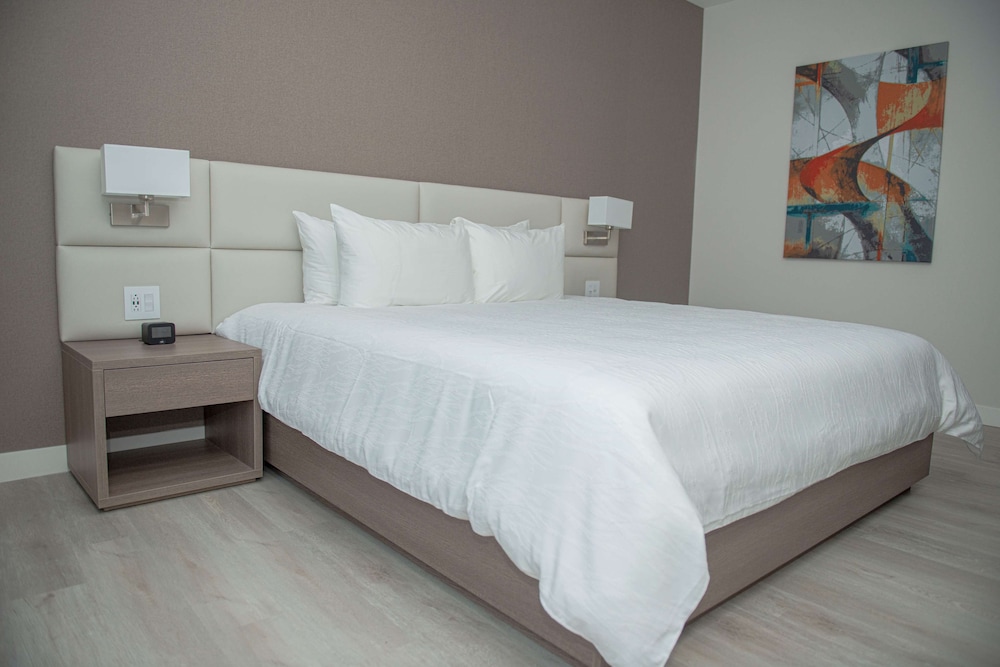 Junior Suite, 1 King Bed - Photo 9