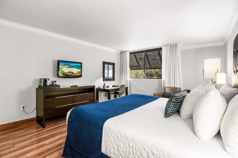 Deluxe King Bed - Photo 1