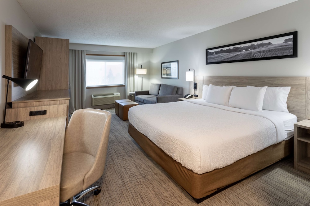 Executive Suite, 1 Bedroom (King) photo 1