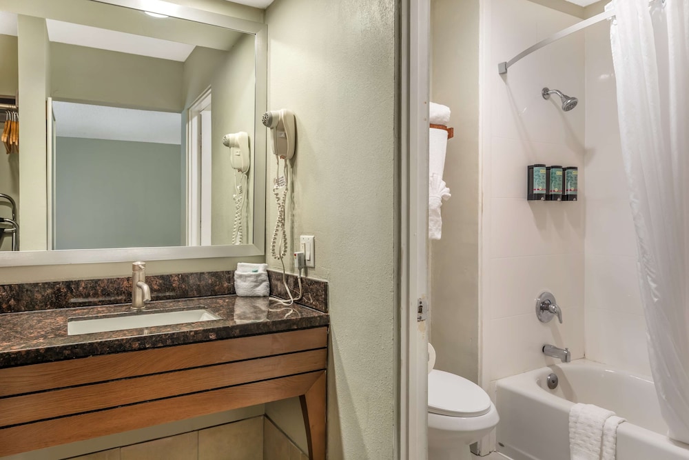 Standard Room, 1 King Bed, Accessible, Bathtub - Photo 4