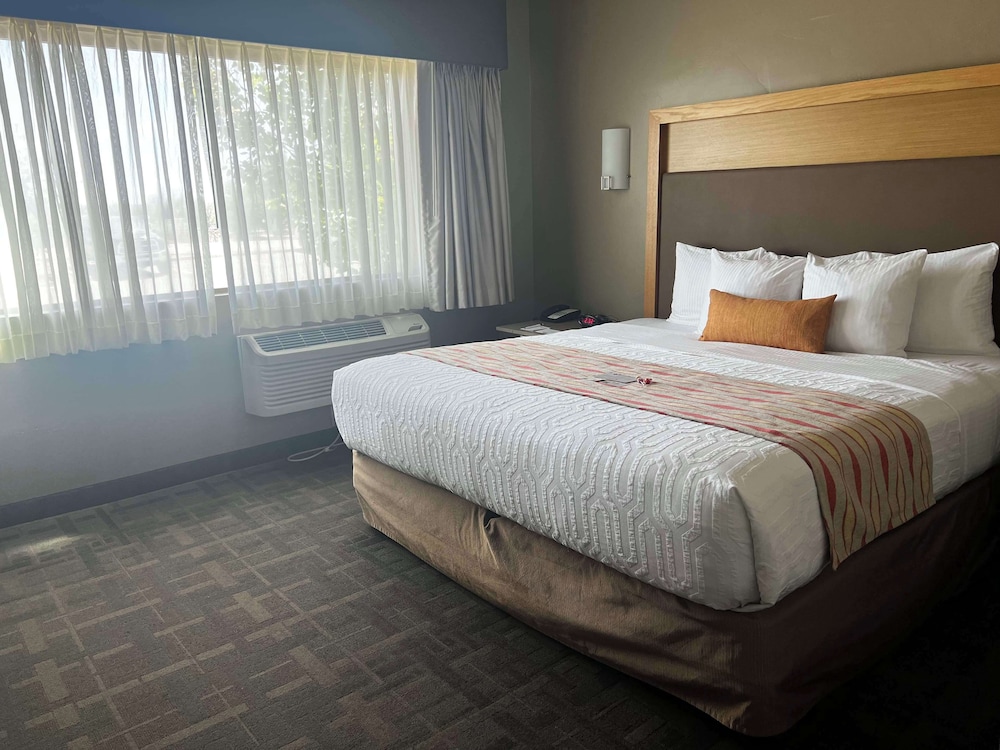 Standard Room, 1 King Bed, Accessible, Kitchenette photo 3