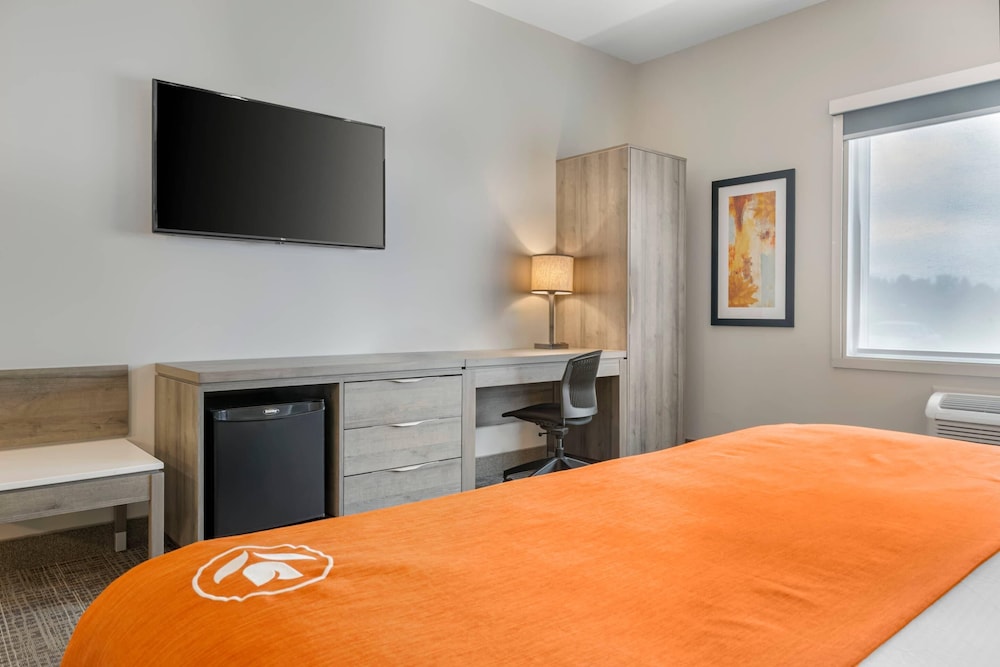 Room, 1 King Bed, Accessible, Non Smoking photo 3