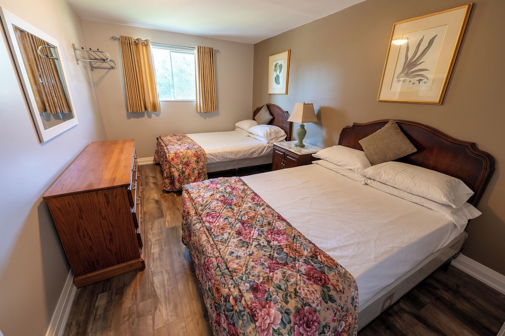 Family Suite photo 1