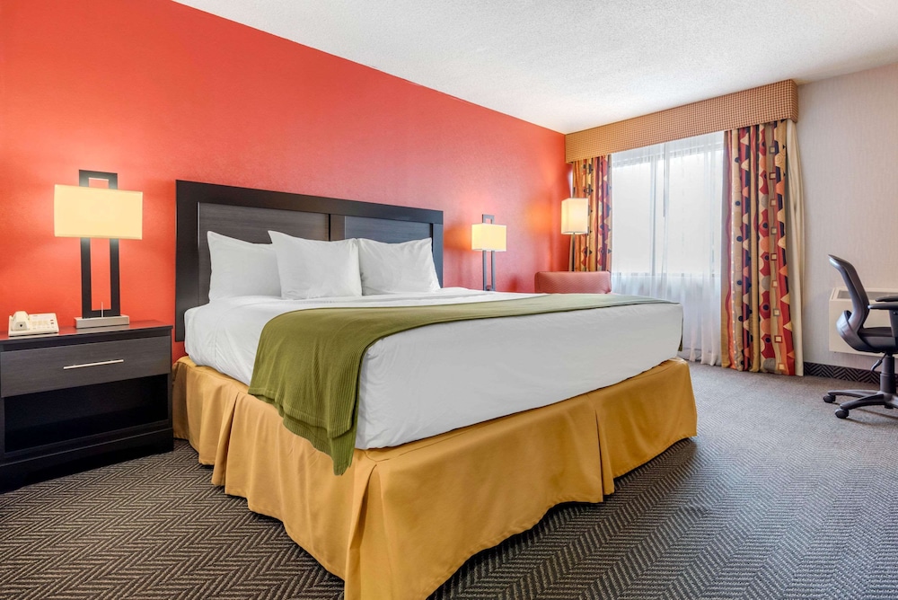 Standard Room, 1 King Bed, Non Smoking - Photo 1